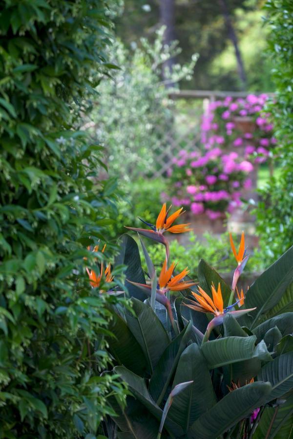 La Cervara Bed and Breakfast Santa Margherita Ligure Zewnętrze zdjęcie